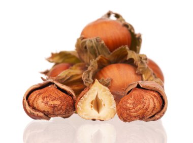 olgun kaju fıstığı