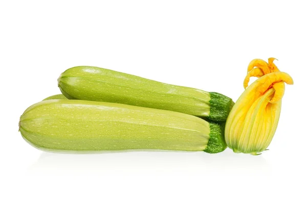 Vegetable marrow — Stock Photo, Image