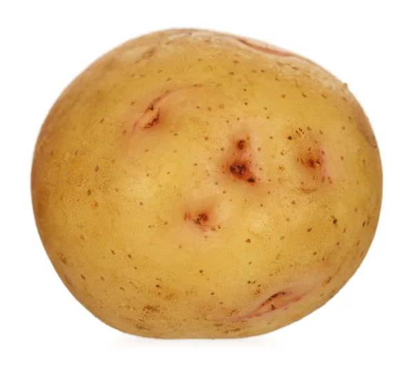 Жовта картопля — стокове фото