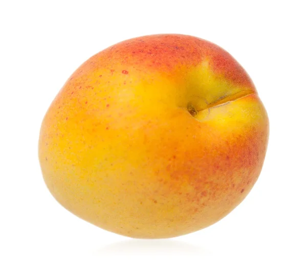 Mogen aprikos — Stockfoto