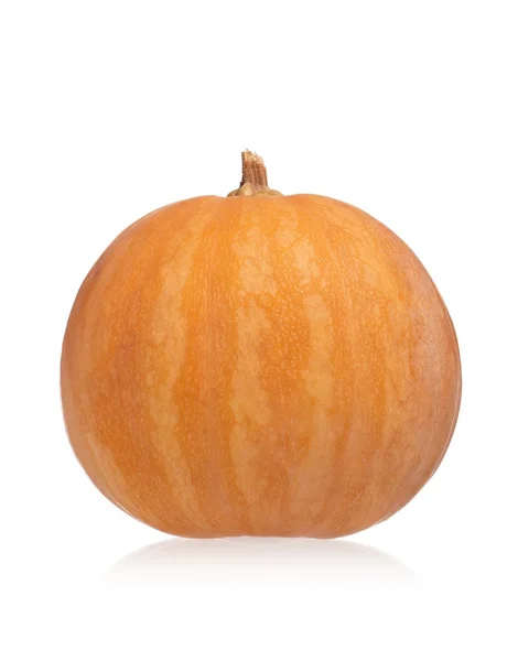 Round pumpkin — Stock Photo, Image