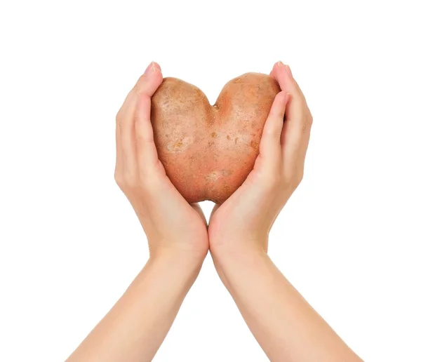 New potato — Stock Photo, Image