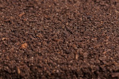 organik toprak