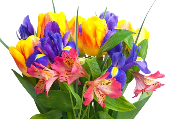 Bright bouquet — Stock Photo, Image