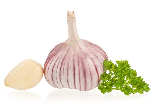 Garlic bulb — Stock Photo, Image