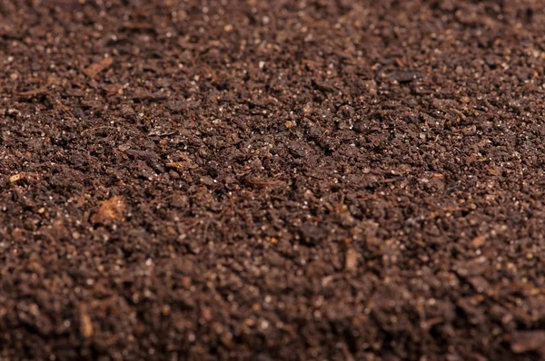 Органические почвы — стоковое фото