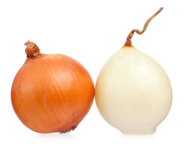 Raw onion — Stock Photo, Image