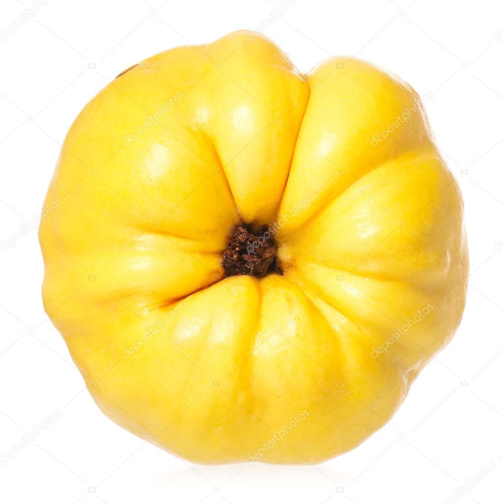 Yellow quince