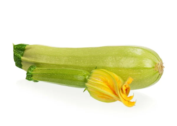 Vegetabiliska squash — Stockfoto