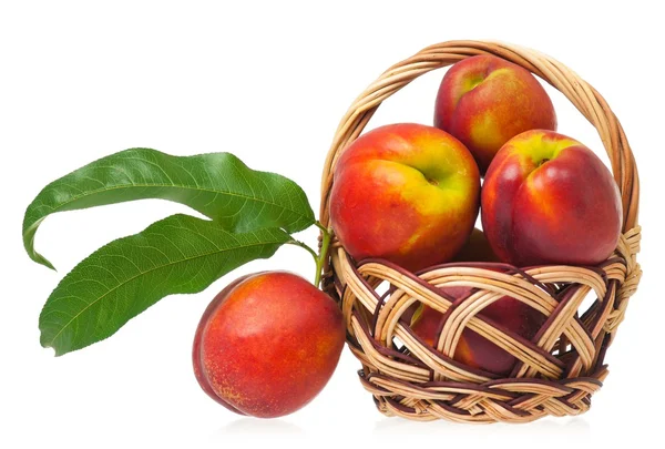 Red nectarines — Stock Photo, Image