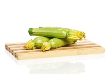 Bitkisel kemik iliği