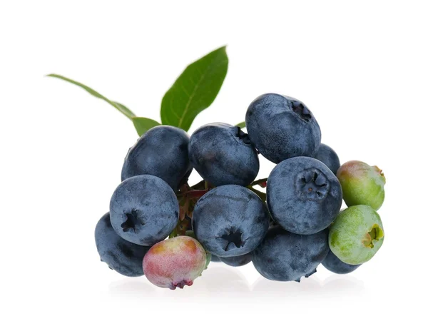 Ripe blueberries — Stock Photo, Image