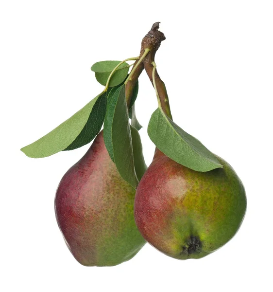 Ripe pears — Stock Photo, Image