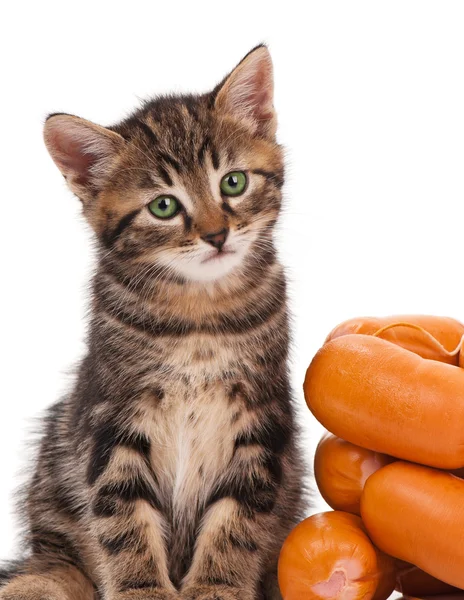 Cute kitten — Stock Photo, Image