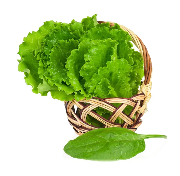 Lettuce leaves — Stock Photo, Image