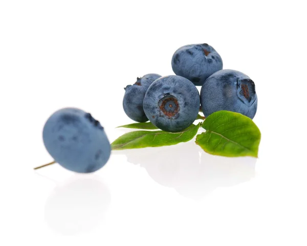 Ripe blueberries — Stock Photo, Image