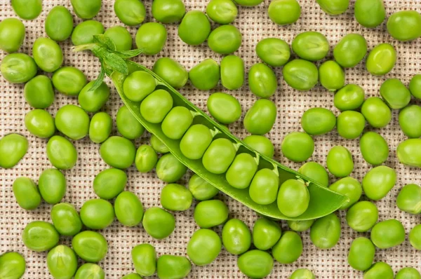 Guisantes verdes — Foto de Stock