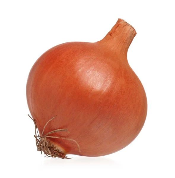 Gold onion — Stock Photo, Image