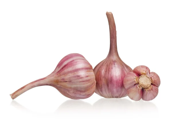 Raw garlic — Stock Photo, Image