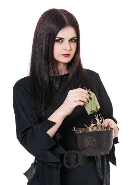 Wicked witch — Stock Photo, Image