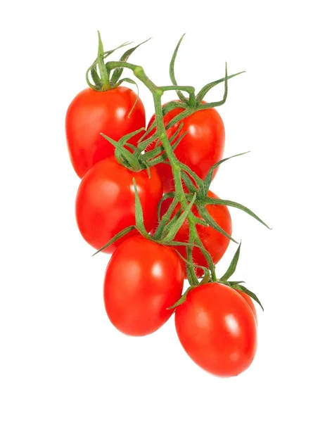 Rode tomaten — Stockfoto