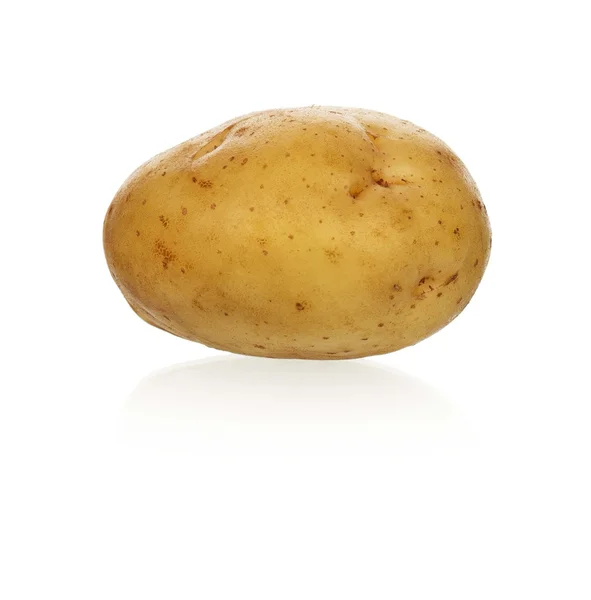Gele aardappel — Stockfoto