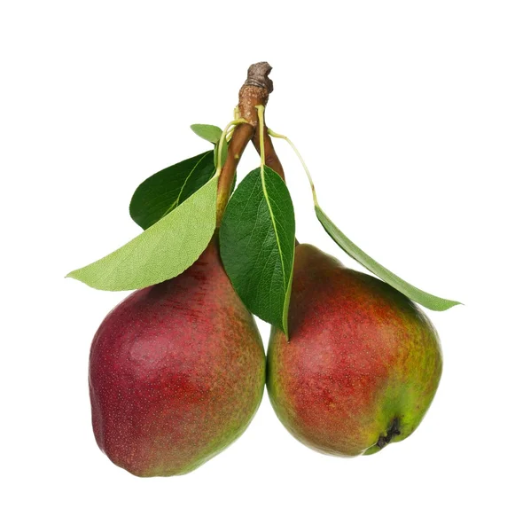 Ripe pear — Stock Photo, Image