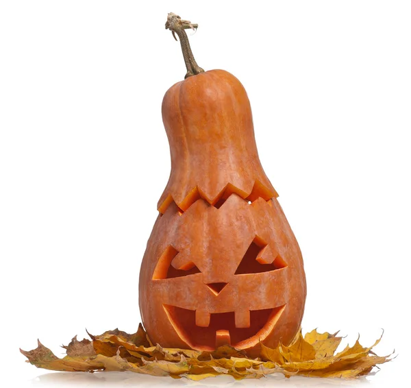 Halloween pumpkin — Stock Photo, Image