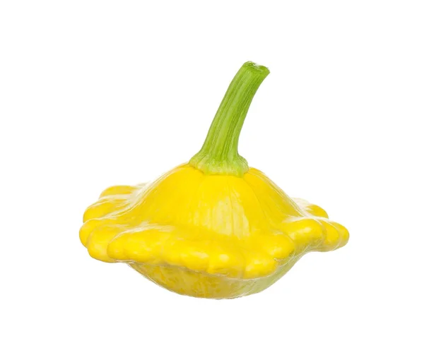 Zucchini squash — Stock Photo, Image