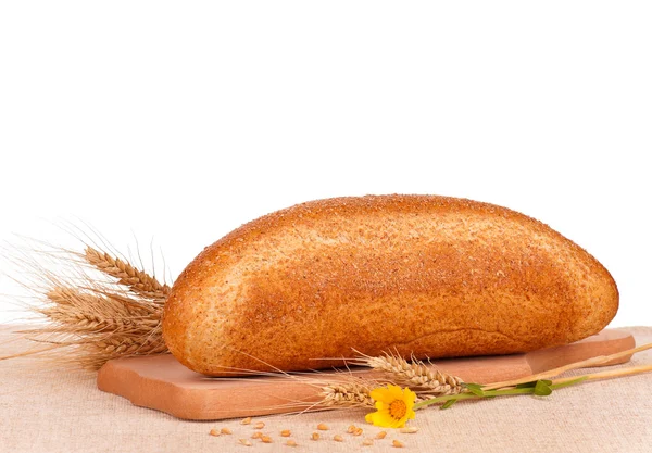 Fresh bread — Stock Photo, Image