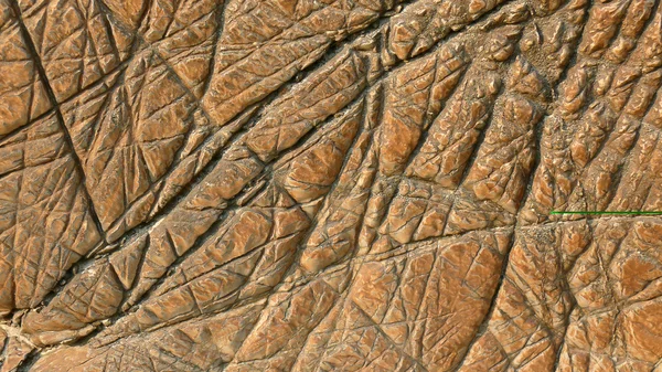 Stone surface of the rock in India — Stock Photo, Image