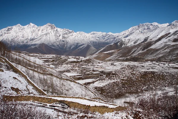 7765 Himalaya Mustang Nepal — Foto Stock