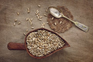bir gümüş kaşık ve Ayçiçeği tohumları toprak tonları içinde saf kumaş ile natürmort
