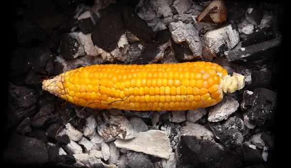 Sarı mısır ızgara kömürün üstünde - Hint sokak gıda — Stok fotoğraf
