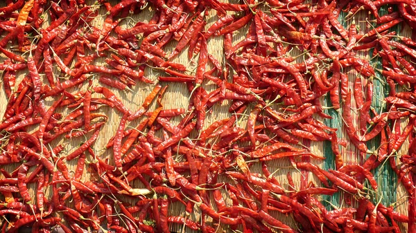 Secado del chile rojo picante en la esterilla - Mercado de especias en la India Kerala Varkala —  Fotos de Stock