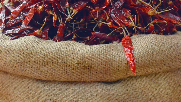 Dried red chili peppers in a bag — Stock Photo, Image