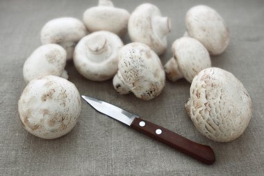 champignon mantar ve bıçak