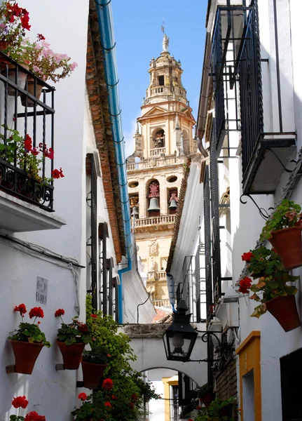 Oude binnenstad van cordoba, Spanje — Stockfoto