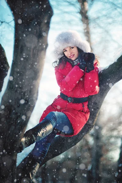 Retrato de invierno de la mujer —  Fotos de Stock