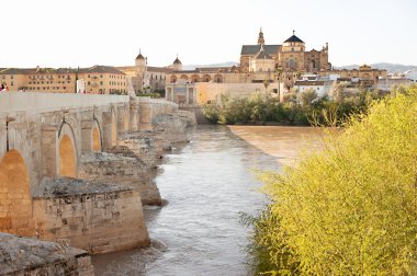 Cordoba, İspanya