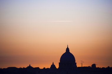 bosque de pino canario de la palma