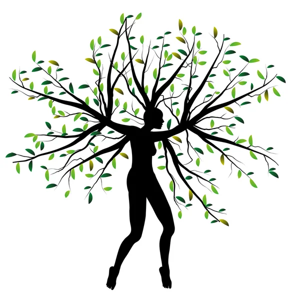 Woman tree — Stock Vector