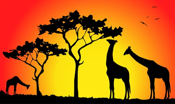 Girafas na savana — Vetor de Stock