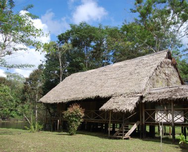 Amazon orman lodge