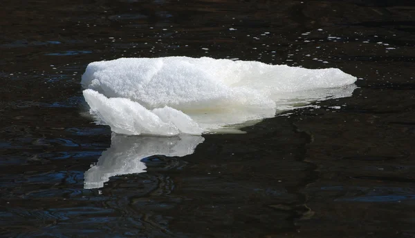 Neve nel fiume — Foto Stock