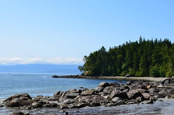 Vancouver island öster sooke park strandlinjen — Stockfoto