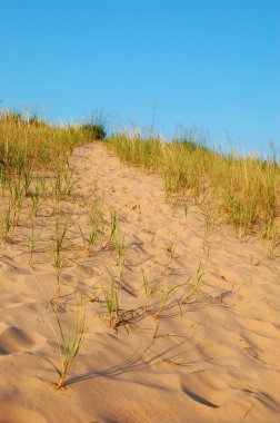 dune yolu, ayı dunes, mi yatıyor