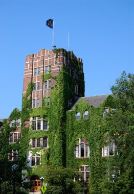 michigan Üniversitesi'nde Birliği