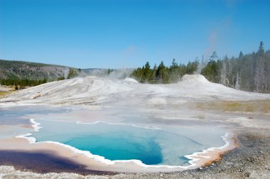 Yellowstone Ulusal Parkı kalp bahar ağaçları ile