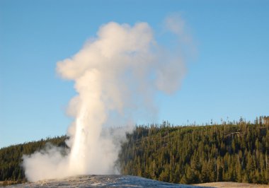 Old Faithful in full eruption